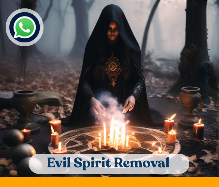 httpsmahadevindianfamousastrologer.com